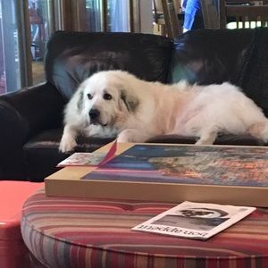 Meet your Posher, Meg